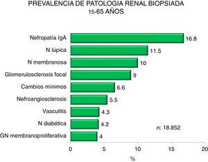 Prevalencia de las enfermedades renales biopsiadas en la población 15-65 años.