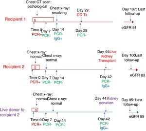 Conceptual timeline depicting course from initial diagnosis of COVID-19 to kidney transplantation and most recent follow-up of both recipients (labelled in red) and live donor to second recipient (labelled in purple). (abbreviations: S- in the box refers to days with symptoms, DDTx: deceased donor transplant (recipient 1), eGFR: estimated glomerular filtration rate in ml/min/m2).