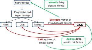 Relationship among Fabry disease, chronic kidney disease and outcomes. CKD: chronic kidney disease, CNS: central nervous system.