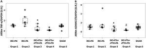 Marcadores moleculares de inflamación. Gráfico box plot. A) ARNm TNF- α (U.R.), B) ARNm Adam17 (U.R.) en el corazón de las ratas con nefrectomía 7/8 alimentadas con dieta con contenido normal en fósforo (0,6% PN) o con alto contenido en fósforo (0,9% PA) con y sin paratiroidectomía. IRC + PN (grupo 1), nefrectomía 7/8 con dieta normal en fósforo; IRC + PA (grupo 2), nefrectomía 7/8 con dieta alta en fósforo; IRC + PTx + rPTH + PA (grupo 3), nefrectomía 7/8 con paratiroidectomía + PTH 1-34 y dieta alta en fósforo; IRC + PTx + rPTH + PN (grupo 4), nefrectomía 7/8 con paratiroidectomía + PTH 1-34 y dieta normal en fósforo; SHAM (grupo 5), intervención simulada para nefrectomía y paratiroidectomía. Los datos se representan con la mediana y el rango intercuartil. *p < 0,05 vs. IRC + PA δp < 0,05 vs. IRC + PN.