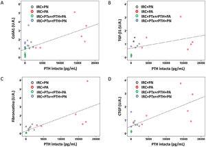 Correlaciones entre marcadores moleculares de fibrosis cardiaca y niveles séricos de PTH intacta. Gráfico de dispersión simple de las correlaciones de los niveles séricos de PTH intacta con A) ARNm colágeno 1 (U.R.), B) ARNm TGF-βI (U.R.), ARNm fibronectina (U.R.), D) ARNm CTGF (U.R.) en el corazón de ratas de todos los grupos de tratamiento.