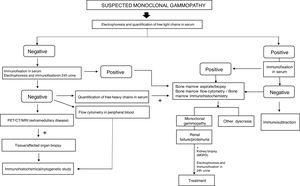 Diagnostic algorithm for identification of monoclonal gammopathy.