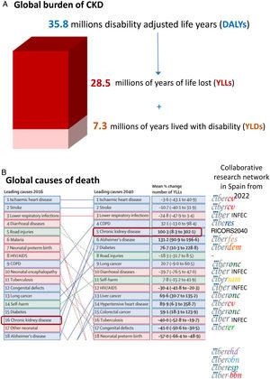 Global burden of chronic kidney disease (CKD), according to the Global Burden of Disease (GDB) study. (A) 2017 global disability adjusted life years (DALYs), years lived with disability (YLD) and years of life lost (YLLs) due to CKD.30 (B) Major global causes of death in 2016 and predicted for 2040 according to the GBD study, ranked by YLLs.15 CKD is marked by empty rectangles. Logos to the right correspond to ISCIII-funded collaborative research networks in Spain that will address each cause from 2022. At the time of this writing, the status of kidney research in 2022 is still unclear. An infectious disease CIBER will be created in 2022, but at his point we are unaware of the logo. Thus, the CIBER logo was used and the word “INFEC” was added. Reproduced from 1.