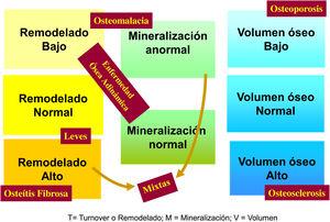 Clasificación de osteodistrofia renal (Turnover/Mineralización/Volumen)