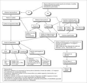 Algoritmo interino en sospeita de infección asociada ao catéter venoso central. Anf. B: Amphotericin B; BAC: Bacteremia asociada ao catéter; Clox: Cloxacillin; Fluc: Fluconazol; SAMR: S. Aureus resistente á minicilina; Sams: S. aureus sensible á meticilina; SCN: Staphylococcus coagulase-negativa; Teic: Teicoplanina; Vanc: Vancomycin.