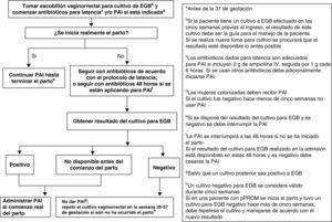 Prevención De La Infección Perinatal Por Estreptococo Del Grupo B ...