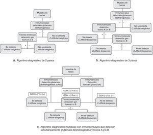 Algoritmos diagnósticos de la infección por Clostridium difficile.