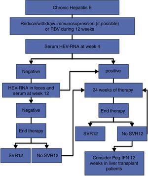 Recommended management algorithm for the treatment of chronic hepatitis E.