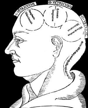 Ilustración relativa a las tres celdas ventriculares y la localización de las funciones cerebrales en una edición de 1490 de la Philosophia naturalis de San Alberto Magno.