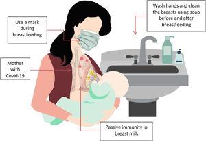 Approach breastfeeding in mother with COVID-19.
