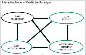 Interactive model of qualitative paradigm.