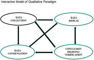 Interactive model of qualitative paradigm.