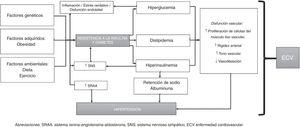 Mecanismos fisiopatológicos en el desarrollo de la hipertensión arterial en diabetes mellitus tipo2.