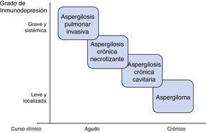 Relación entre el grado de deterioro inmunológico y el tipo de aspergilosis pulmonar.