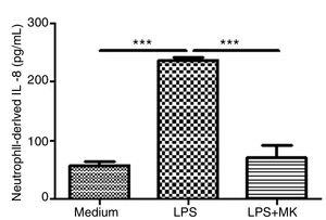 Montelukast suppressed IL-8 levels production by human neutrophils stimulated with LPS. IL-8 levels in neutrophil supernatant were measured using ELISA. The results are expressed as mean±SEM. For this figure *** P<.001 compared with non-stimulated (Medium) and LPS-stimulated and treated with montelukast (LPS+MK group).