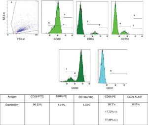 Characterization of BMSC, by flow cytometry. Rat BMSC were labeled with CD29, CD31, CD34, CD44, CD45 and CD90 antibodies and analyzed by flow cytometry. BMSC were positive for CD29, CD44 and CD90 and negative for CD31, CD34 and CD45.
