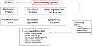 Potential pathophysiological relationship between the obstructive sleep apnoea and a state of hypercoagulability, including the importance of obesity as a confounding factor.