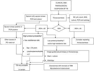 Algorithm for the diagnosis of tuberculous pleural effusion. ADA, adenosine deaminase; BC, biochemistry; PE, pleural effusion; TB, tuberculosis.