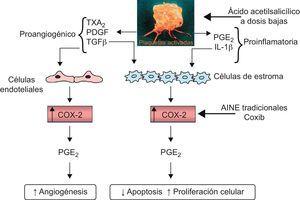 Hipótesis sobre el mecanismo por el que la inhibición de la COX-1 producida en las plaquetas por el ácido acetilsalicílico en dosis bajas puede inhibir la inducción de la COX-2 en las células nucleadas adyacentes de la mucosa intestinal en el estadio inicial de la neoplasia. La activación plaquetaria en los lugares de lesión de la mucosa intestinal podría desencadenar procesos de señalización distales que llevaran a reducción de la apoptosis y aumento de la proliferación celular y la angiogénesis. Se representa el mecanismo propuesto por el que la inhibición de la COX-1 en las plaquetas por la acción del ácido acetilsalicílico en dosis bajas puede inhibir la inducción de la COX-2 en células nucleadas adyacentes de la mucosa intestinal en el estadio inicial de la neoplasia. La intervención secuencial de la COX-1 y la COX-2 explicaría los efectos inhibitorios similares de la deleción de uno u otro gen en la tumorogénesis intestinal en el ratón, así como los efectos similares del ácido acetilsalicílico en dosis bajas y los coxib en la prevención de recurrencias del adenoma colorrectal esporádico en el ser humano. AINE: antiinflamatorios no esteroideos; COX: ciclooxigenasa; IL: interleucina; PDGF: factor de crecimiento de origen plaquetario; PGE2: prostaglandina E2; TGFβ: factor de crecimiento transformador beta; TX: tromboxano. Reproducido con permiso de Thun et al21.