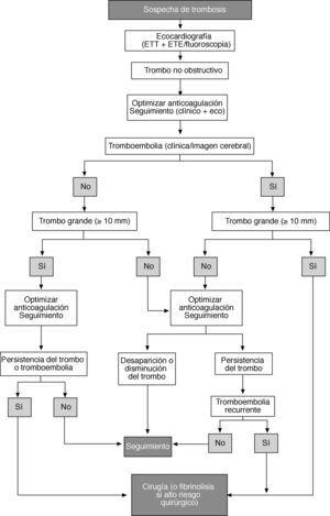Tratamiento de la trombosis protésica no obstructiva de lado izquierdo. ETE: ecocardiografía transesofágica; ETT: ecocardiografía transtorácica.