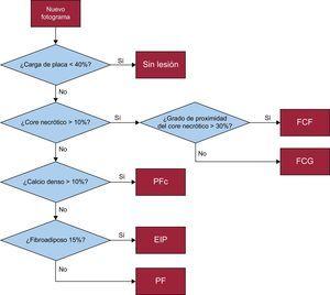 Determinación de fenotipos de segmentos arteriales. EIP: engrosamiento intimal patológico; FCF: fibroateroma de capa fina; FCG: fibroateroma de capa gruesa; PF: placa fibrosa; PFc: placa fibrocalcificada.