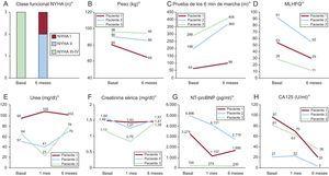 Evolución de parámetros analíticos, la capacidad funcional y la calidad de vida tras el inicio de la DPCA. CA125: antígeno carbohidrato 125; DPCA: diálisis peritoneal continua ambulatoria; MLHFQ: Minnesota Living with Heart Failure Questionnaire; NT-proBNP: fracción aminoterminal del propéptido natriurético cerebral; NYHA: clase funcional de la New York Heart Association. *p<0,05 para todas las comparaciones.