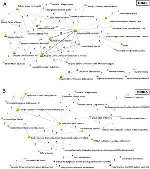 Redes de colaboración entre instituciones. A: tema «NOAC» (umbral mínimo de 5 colaboraciones). B: tema «miRNA» (umbral de 4 colaboraciones). miRNA: micro-RNA; NOAC: non-vitamin K antagonist oral anticoagulation.