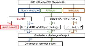 Algorithm for management suspected allergy to beta lactam antibiotics in children. In the case of positive sIgE skin test to the culprit drug, study is continued to confirm tolerance to a reasonable alternative (e.g. 3rd generation cephalosporins if allergic to aminopenicillins). Dotted lines: mild drug reaction. *Readings at 20min only. HSR: hypersensitivity reaction; BL: betalactam antibiotics; sIgE: specific IgE, AX: amoxicillin; Pen: penicilloyl; IDT: intradermal tests; SPT: skin prick tests.