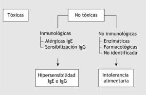 Tipos de reacciones adversas que puede presentar el organismo frente a un alimento o aditivo determinado. Ig: inmunoglobulina.