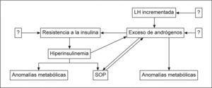 Papel del exceso de andrógenos en la patogénesis del SOP. LH: hormona luteinizante; SOP: síndrome del ovario poliquístico. Fuente: Moghetti40.