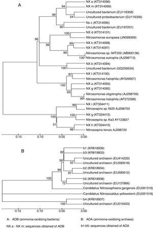 Correlation Between Ammonia Oxidizing Microorganisms And Environmental Factors During Cattle Manure Composting Revista Argentina De Microbiologia