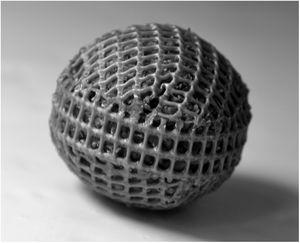 Spherical cartridge of high-density plastic polyethylene mesh filled with wheat bran.