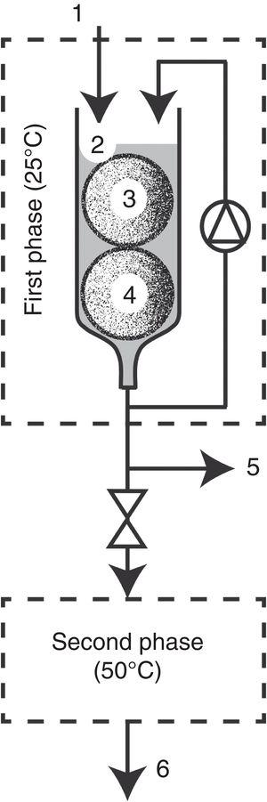 Diagram of the bioreactor employed: dye solution inlet (1), dye solution level (2), fungus and support-substrate (3, 4), sampling port (5), stainless steel coil (6), treated dye outlet (7).