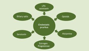 Pathophysiology of cholestatic pruritus. LPA, Lysophosphatidic Acid.