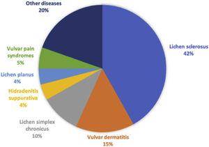 Percentage of the different diagnoses identified during the study.