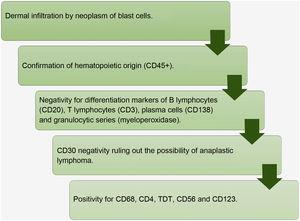 Flowchart for histopathological diagnosis of blastic plasmacytoid dendritic cell neoplasm.