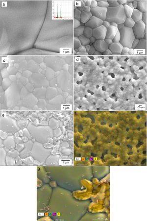 FE-SEM micrographs of the powders sintered at temperature 1200 ̊C for 1 h, corresponding to (a) HAp and Si-HAp samples containing (b) 4, (c) 10 (d) 16 and (e) 20 mol %. The elemental mapping conducted by EDX of the samples produced with (f) 16 and (g) 20 mol % Si are also included.
