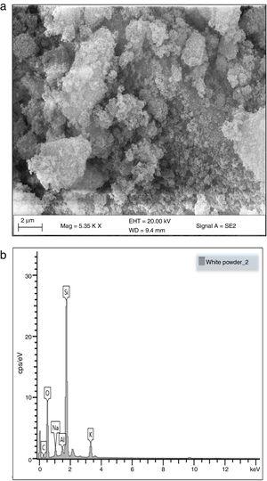 (a) SEM and (b) EDX micrograph of the silica from PKSA.
