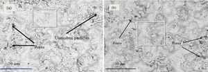 SEM micrographs of chromium oxide coatings prepared by varying current. (a) 550A coating (b) 650A coating.
