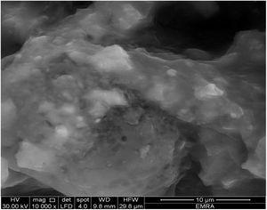 SEM image for starting material composite preheated at 300°C for 1h.