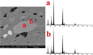 Zoned clinopyroxene inclusion and EDS spectra of the core (up) and the rim (bottom) in sample G.C. n 5D.