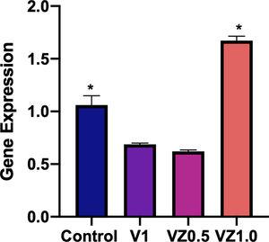 Gene expression of integrin β3 on osteoblast cells cultured on V1, VZ0.5 and VZ1.0. The data are presented as mean±standard deviation (n=3) and the asterisks (*) indicate statistically significant difference (p≤0.05).