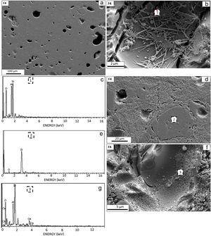 (a) SEM image of the sintered the F4 sample, (b) SEM image of etched the F4 sample, (c) EDX analysis of the region highlighted in (1) region, (d) Different region SEM image of the etched the F4 sample, (e) EDX analysis of the region highlighted in (2) region, (f) Another different SEM image of the etched the F4 sample, (g) EDX analysis of the region highlighted in (3) region.