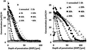 Potassium concentration profiles recorded by EDX line scan analysis for the glass treated at (a) 480°C and (b) 520°C.