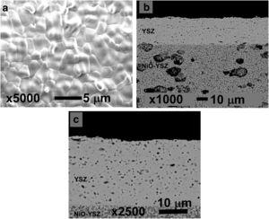 Micrographs of (a) the surface and (b and c) cross section morphology of the electrolyte layer.