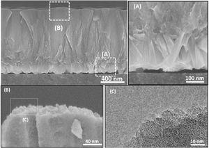 SEM and TEM micrographs of a film grown on amorphous carbon wafers, bottom side hindered from synthesis solution (A), and upside exposed to the synthesis solution (B,C).