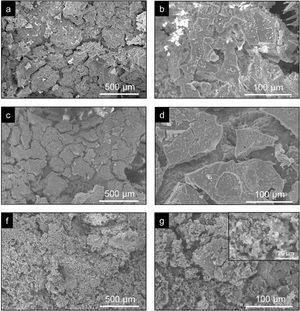 SEM images of (a and b) the CoreA-1Mg, (c and d) CoreA-3Mg and (f and g) CoreA-10Mg scaffolds.