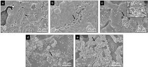 SEM images obtained by SEM after the in vitro bioactivity evaluation of the Core A scaffold: (a) 3 days, (b) 7 days, (c) 14 days, (d) 21 days and (e) 28 days.