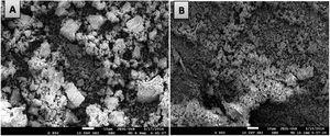 SEM micrograph of Ce0.80Gd0.19Sm0.01O1.9 powders synthetized by the controlled precipitation (A) and Pechini (B) methods.