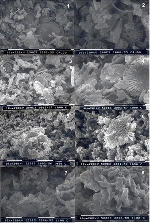 Photo 1. Raw marly diatomite RM-A. Magnification x2500. Photo 2. Raw marly diatomite RM-A. Magnification X5000. Photo 3. Marly diatomite fired at 1000°C. Magnification X2500. Photo 4. Marly diatomite fired at 1000°C. Magnification X5000. Photo 5. Marly diatomite fired at 1050°C. Magnification X2500. Photo 6. Marly diatomite fired at 1050°C. Magnification X5000. Photo 7. Marly diatomite fired at 1100°C Magnification X2500. Photo 8. Marly diatomite fired at 1100°C. Magnification X5000.